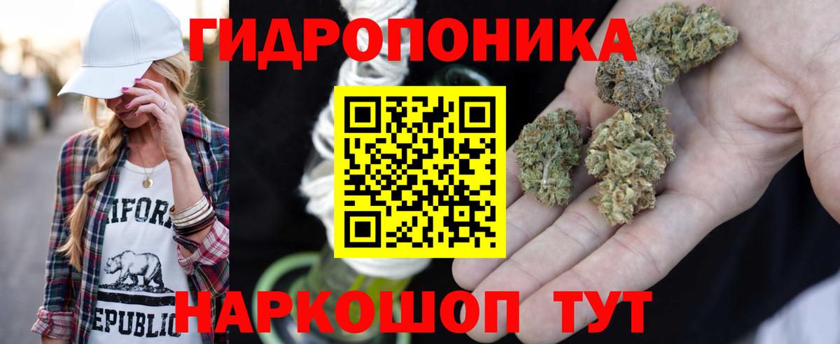Махачкала  Бошки Шишки OG Kush  Марихуана семена  Конопля VHQ  Вход с VPN 